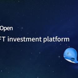 ECO NFT Pre-Open - Global Service Start